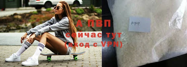гашик Елизово