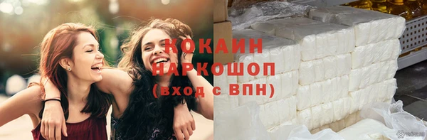 гашик Елизово