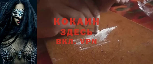 гашик Елизово
